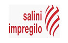 Salini